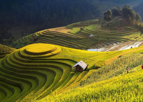 BMT - Hà Nội - Hà Giang - Quảng Bạ - Mã Phí Lèng (4 ngày 3 đêm)